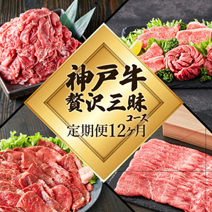 神戸牛 定期便 12ヶ月 贅沢三昧 神戸ビーフ 神戸牛