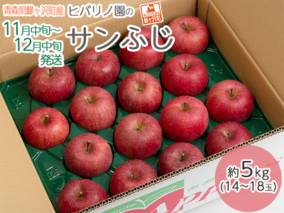 りんご サンふじ ヒバリノ園 青森県産 りんご【約5kg(14～18玉)】