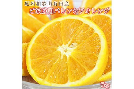 【ご家庭用訳あり】希少な国産バレンシアオレンジ 7kg