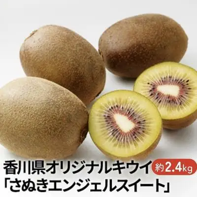 キウイ さぬきエンジェルスイート 香川県産 キウイ【約2.4kg】