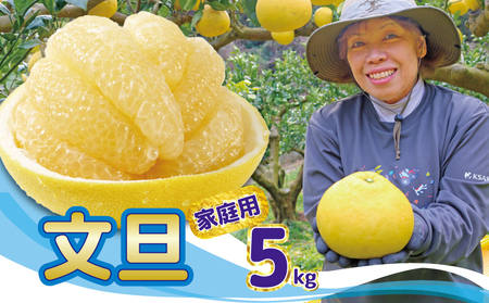 文旦 5kg 家庭用 文旦
