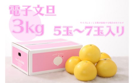電子文旦 3kg贈答用 ハッピーフルーツ果樹園 文旦