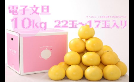 電子文旦 10kg贈答用 ハッピーフルーツ果樹園 文旦