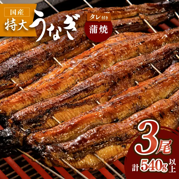 国産 鰻蒲焼 3枚セット うなぎ ウナギ 鰻[FAD002]