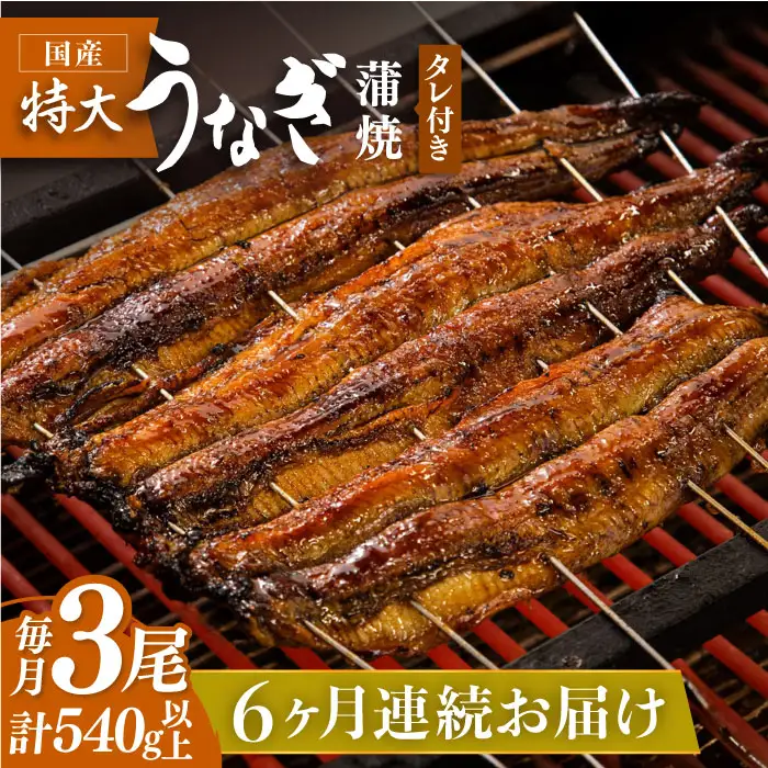 【6回定期便】国産うなぎ蒲焼 3枚セット [FAD007]
