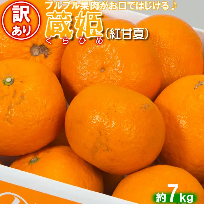蔵姫 くらひめ (紅甘夏) (訳あり 優品) 約7kg【今村農園】果物 期間限定 数量限定 九州 大分県 訳あり ＜107-030＞