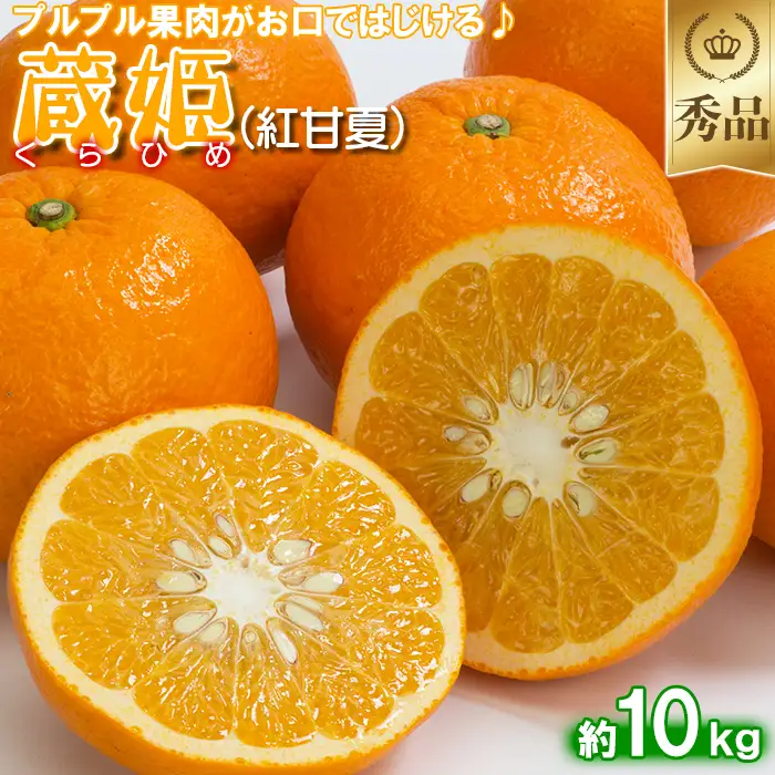 蔵姫 くらひめ (紅甘夏) 秀品 約10kg 【今村農園】 果物 期間限定 数量限定 九州 大分県 ＜107-033＞