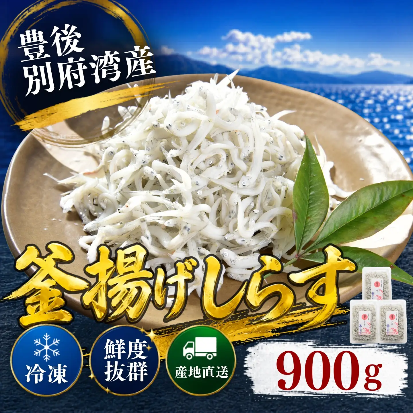 釜揚げ シラス 国産 小分け シラス丼 海鮮丼 冷凍 ／ 豊後別府湾釜揚げしらす 計 900g（300g×3p） 国産 添加物不使用 ＜108-213＞