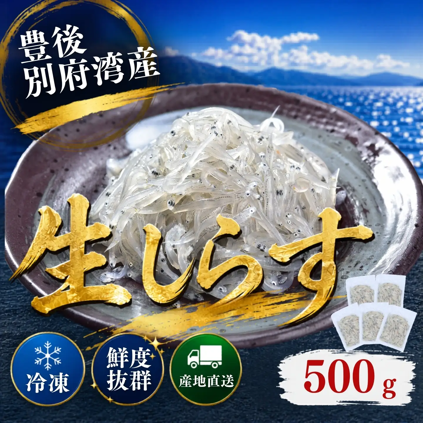生しらす シラス 国産 小分け シラス丼 海鮮丼 冷凍 ／豊後別府湾生しらす 計 500g（100g×5パック） 国産 添加物不使用＜108-221＞