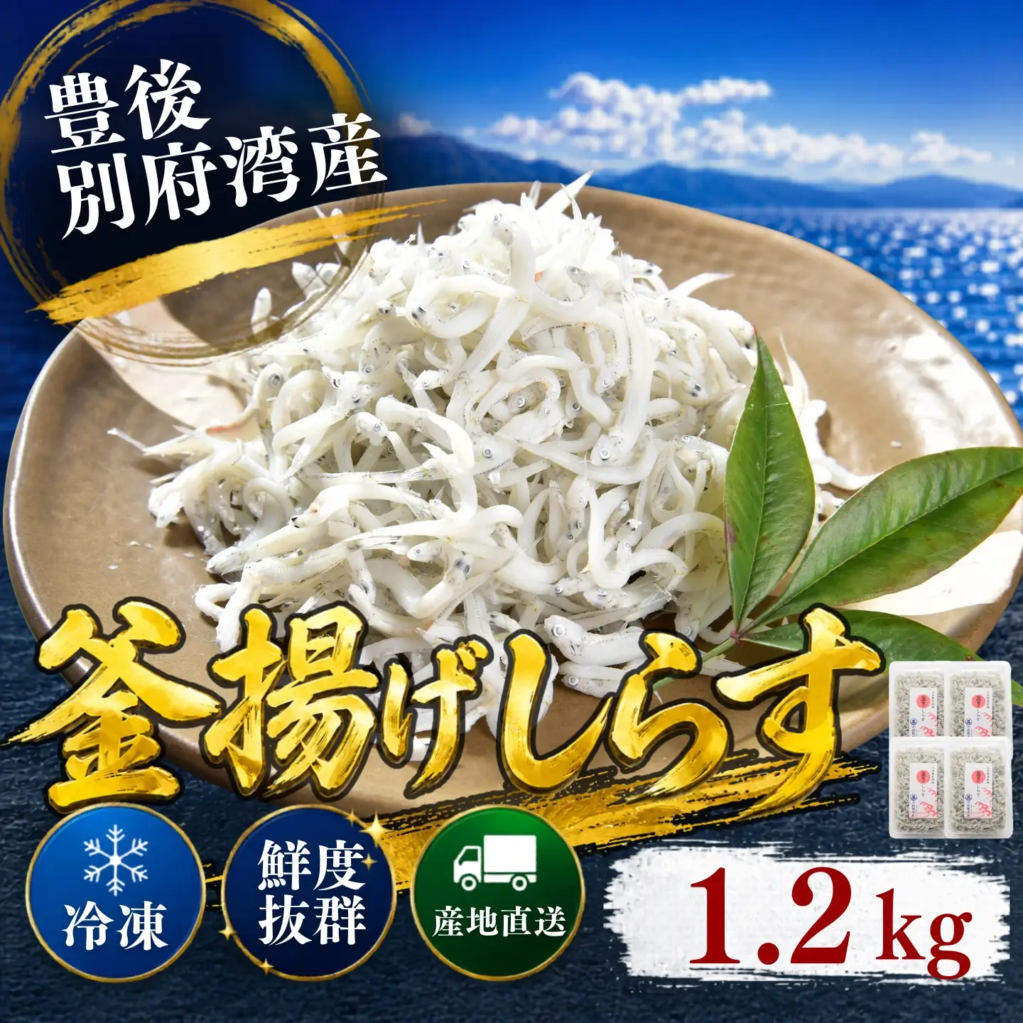 釜揚げ シラス 国産 小分け シラス丼 海鮮丼 冷凍 ／ 豊後別府湾釜揚げしらす 計 1.2kg（300g×4p） 国産 添加物不使用＜108-214＞