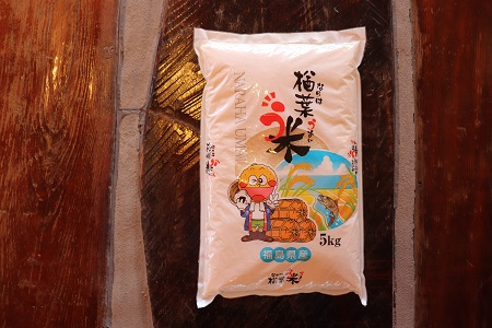 ✖2024年産 楢葉町ブランド米　楢葉う米 楢葉町産 天のつぶ 10kg(5kg×2袋)