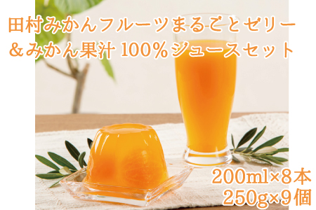丸ごとみかんが３個入った！田村みかんフルーツまるごとゼリー９個＆みかん果汁100％ジュースセット８本【uot104】