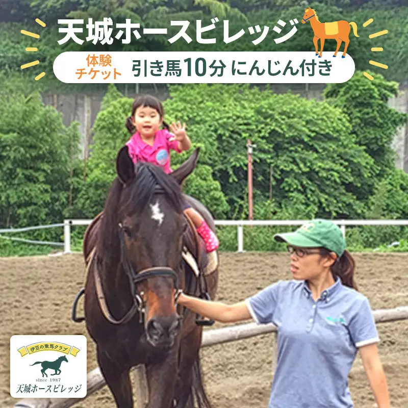 天城ホースビレッジ 施設利用券 引き馬10分（にんじん付き） 体験チケット 