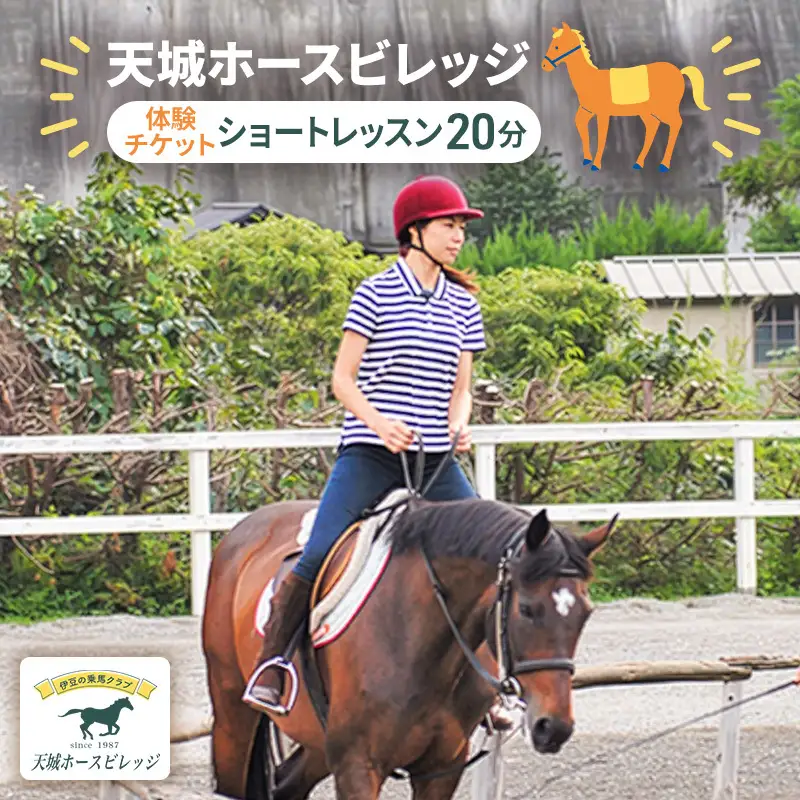 天城ホースビレッジ 施設利用券 ショートレッスン20分 体験チケット 