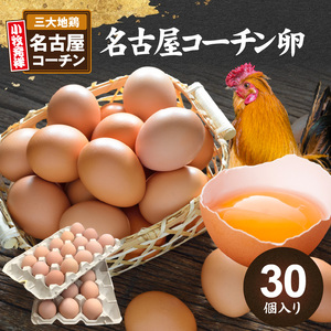 名古屋コーチン卵（30個入り) 日本三大地鶏 小牧市発祥[006K01]