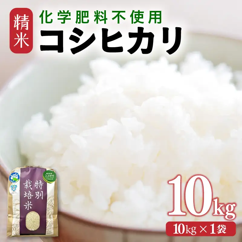 【先行予約】【令和8年産】 化学肥料不使用コシヒカリ 精米10kg（10kg×1袋） / 白米 米 福井県あわら市産 美味しい 特別栽培米 減農薬 安心な米 旨味 甘み もっちり エコファーマー こしひかり 冷蔵保管米 ※2026年10月上旬以降発送予定 [aw010-b022]