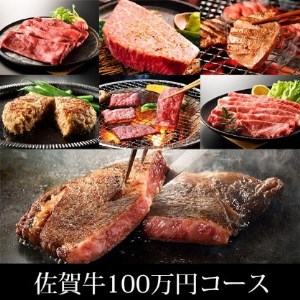 BN047_ふるさと納税　訳あり　定期便　100万コース（佐賀牛サーロインステーキ、味付け厚切り牛タン、味付けホルモン、佐賀牛ハンバーグ等々、贅沢12回定期便）