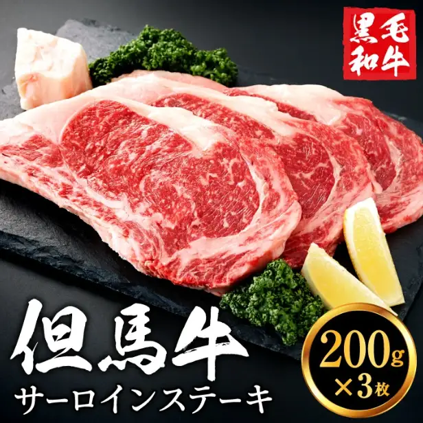 但馬牛経産牛「サーロインステーキ」200ｇ×3枚　020AA02N.／黒毛和牛 ステーキ肉 いちかわ精肉店 経産牛 牛肉 国産 bbq バーベキュー 焼肉 ステーキ サーロイン 赤身 肉 冷凍 焼き肉用