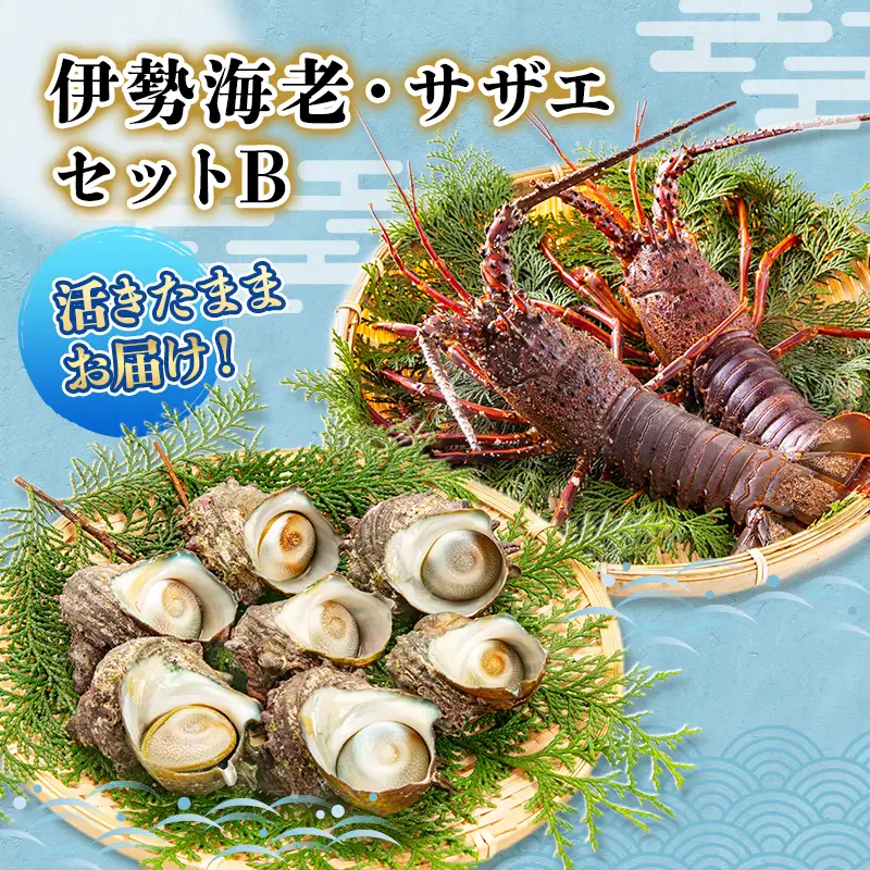 海鮮セット 活伊勢海老 サザエ Bセット 2〜15匹 海鮮セット