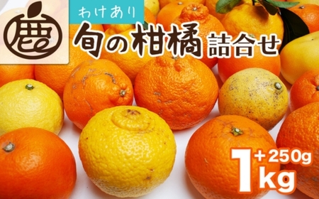 柑橘詰合せ1kg+250g 家庭用 ◇ | 柑橘 みかん