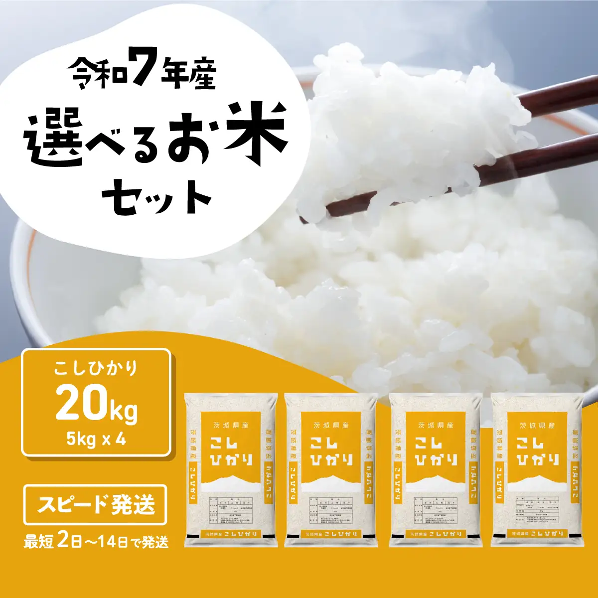 【精米】コシヒカリ 20kg 白米 20kg(5kg×4袋) ブランド米