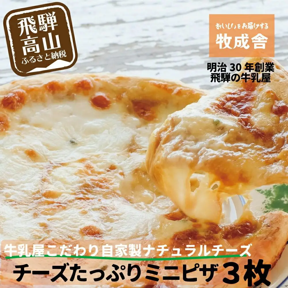 【寄附額見直しました！】＜牧成舎＞ 自家製チーズ ミニピザ 3枚 チーズ DF009