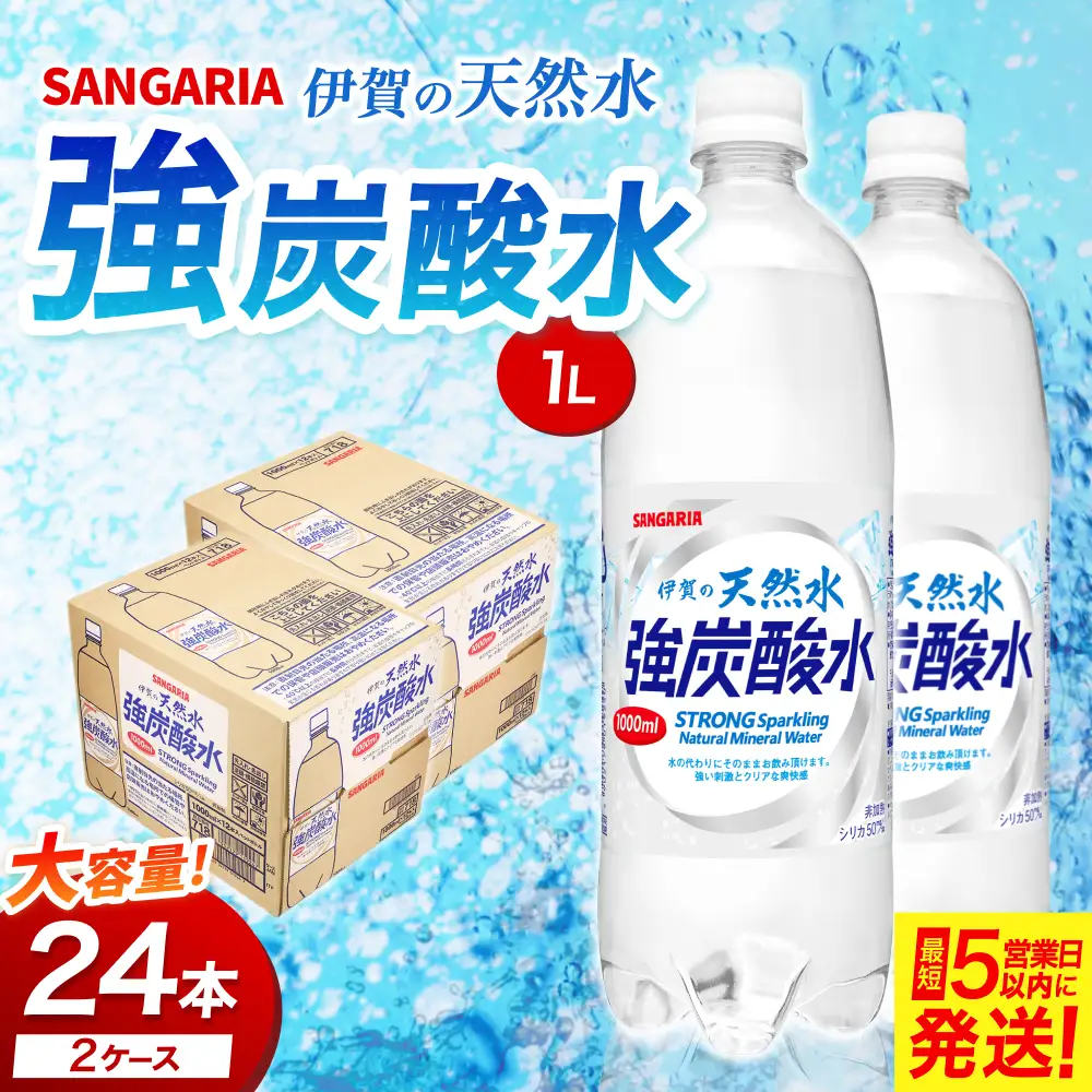 炭酸 サンガリア 伊賀の天然水 強炭酸水2ケース （1L×24本） 【igge0002】