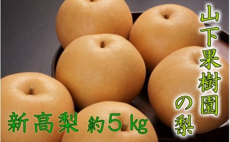 【先行予約・数量限定】令和8年発送/山下果樹園の新高梨5kg_1640R