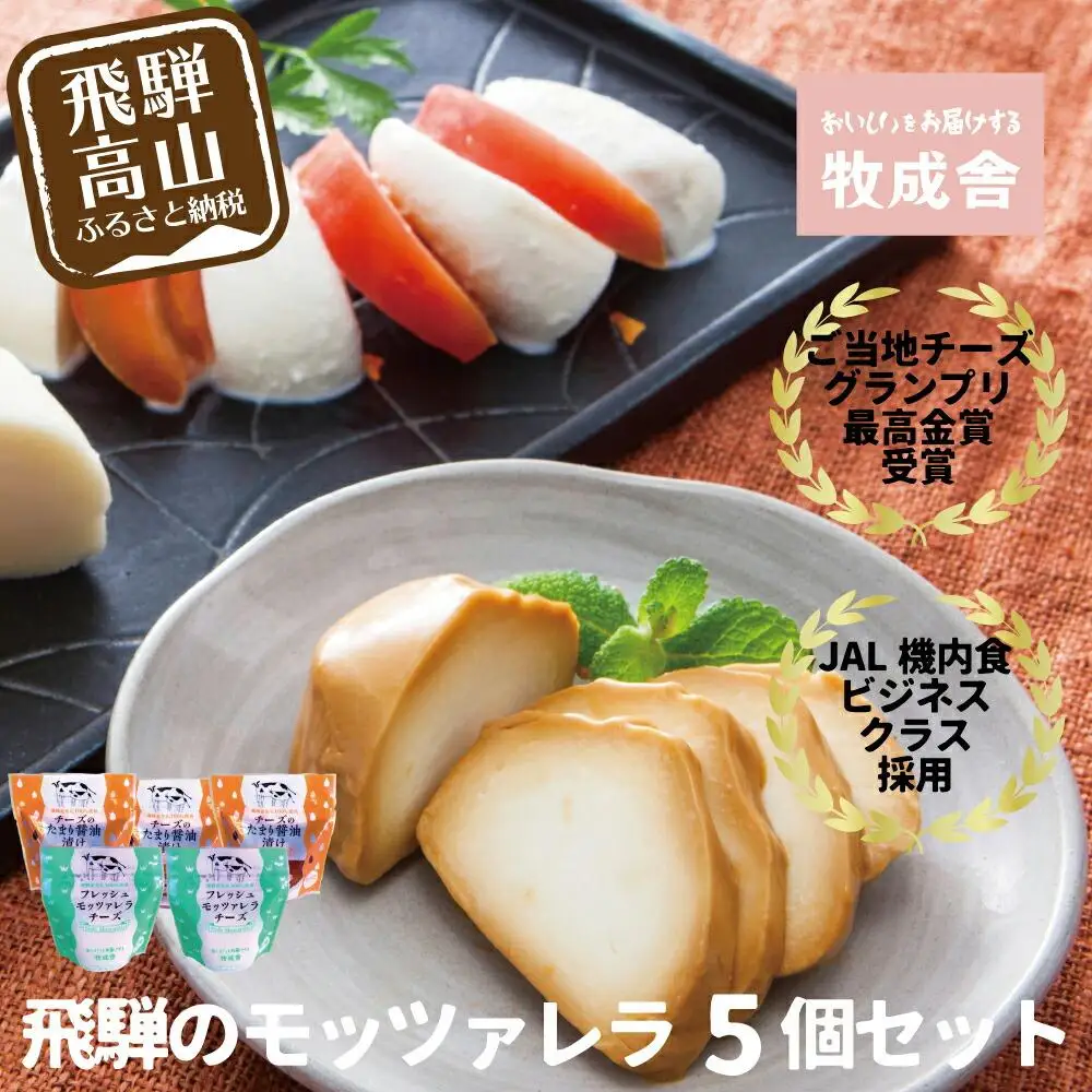【寄附額見直しました！】＜牧成舎＞ご当地チーズグランプリ 最高金賞受賞 牛乳屋のこだわりモッツァレラチーズ 2種セット（5個入り） DF015