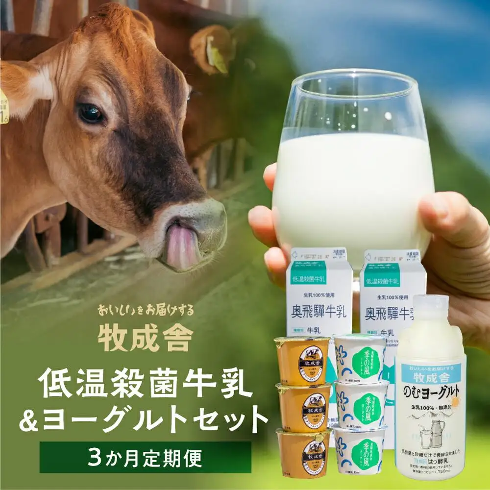 ＜牧成舎＞ 定期便3回 飛騨の牛乳屋のこだわり 牛乳＆ヨーグルトお届けセット（3か月）| DF116