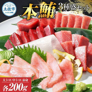 本マグロ 本鮪 大トロ・中トロ・赤身 各200g まぐろ3種盛セット  高知県土佐市 【株式会社大熊】 [BQAA039]