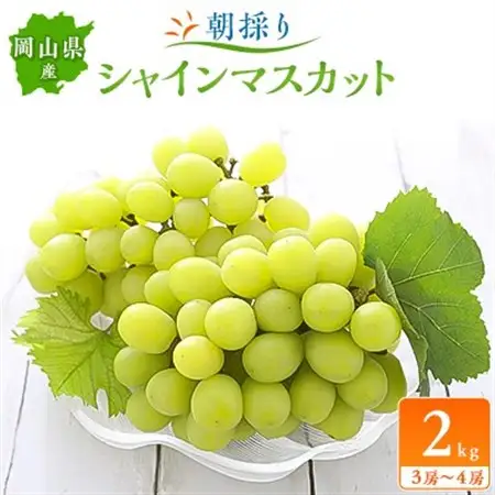朝採りシャインマスカット2kg(3房～4房)【配送不可地域：離島】【1119807】