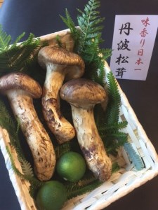 【数量限定】極上 丹波松茸 詰め合わせ＜京都・八光館＞松茸 松茸