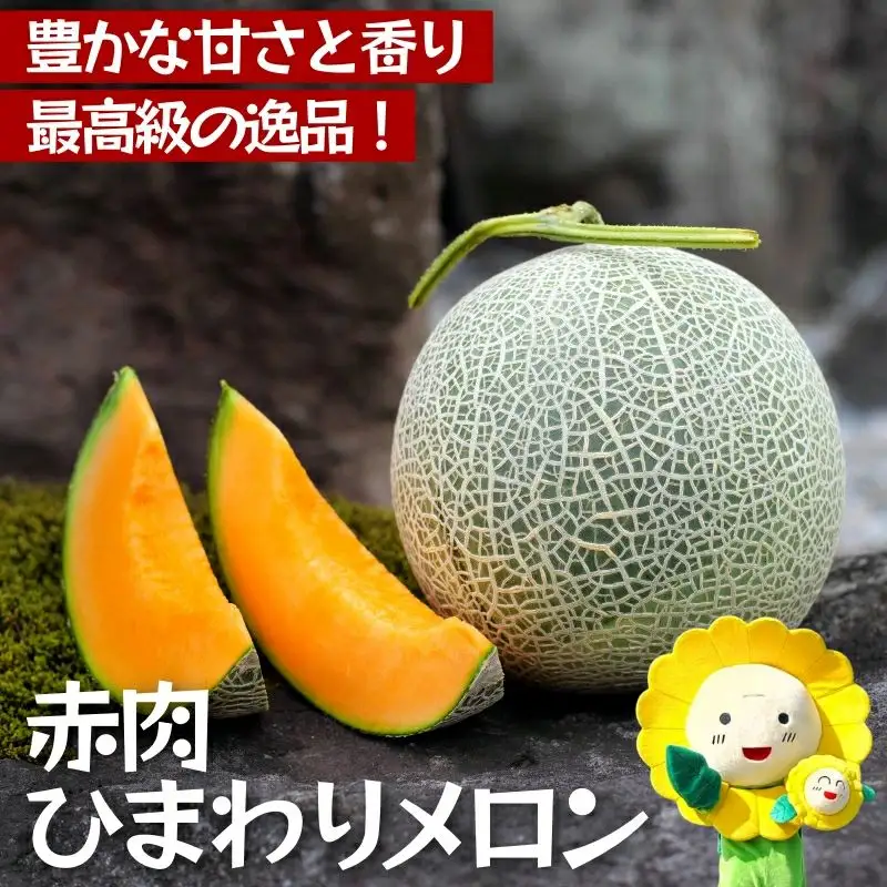 令和8年産 【赤肉】ひまわり メロン 2玉 ※9月中旬から10月中旬に順次発送 2玉 1箱 【sun514-aka-2A】