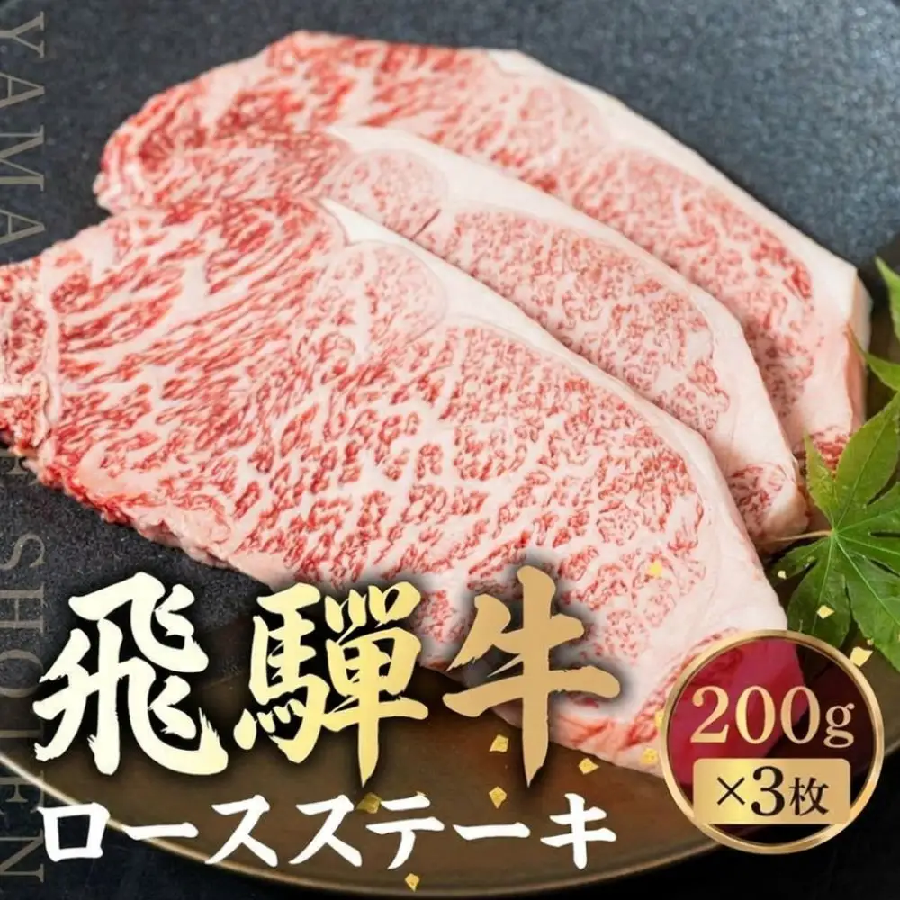 飛騨牛 ロースステーキ 200g×3枚 | 旨味を瞬間冷凍 黒毛和牛霜降り ステーキ 山武商店 LZ018VC13
