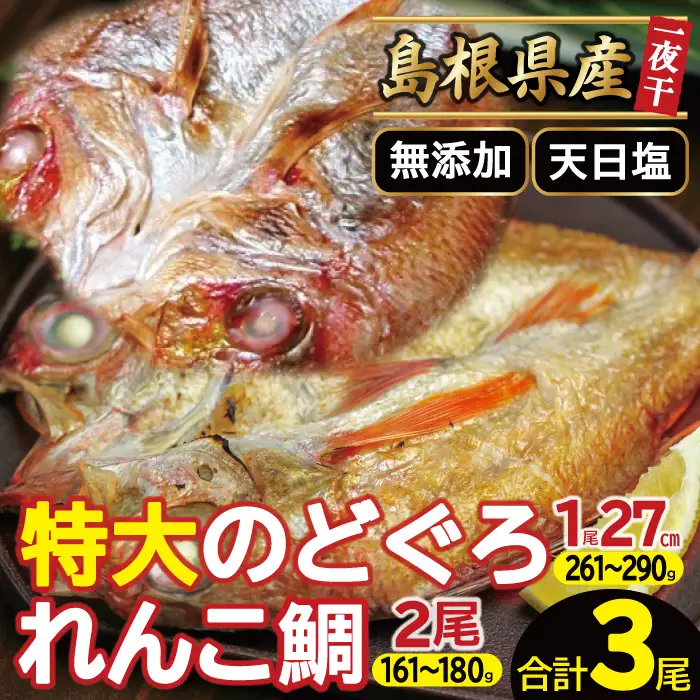 れんこ鯛と特大のどぐろ一夜干しセット【干物セット のどぐろ干物 1尾 261～290g れんこ鯛干物 2尾×161～180g 無添加 のどぐろ ノドグロ 特大 れんこ鯛 キダイ 干物 真空パック 父の日 母の日】