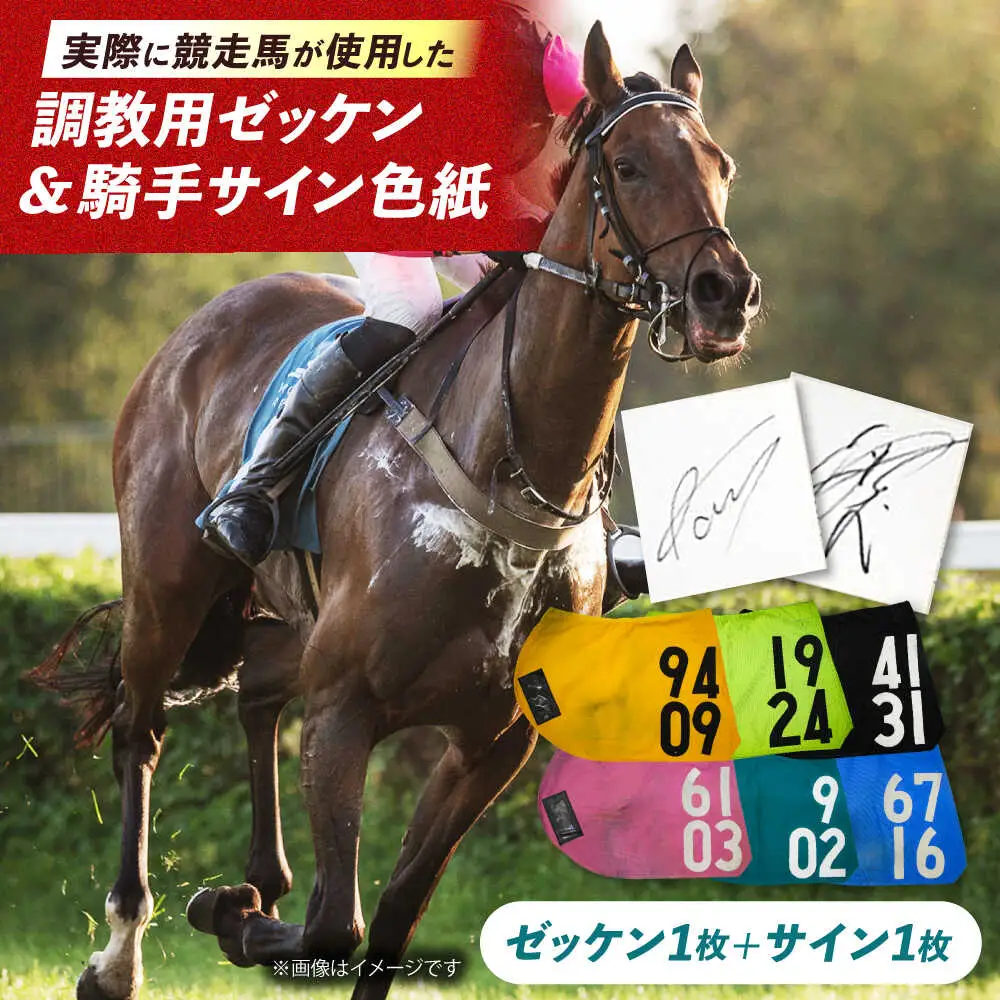 【JRA】調教用ゼッケンと騎手サイン色紙 (栗東カラー) BIAM003 競馬