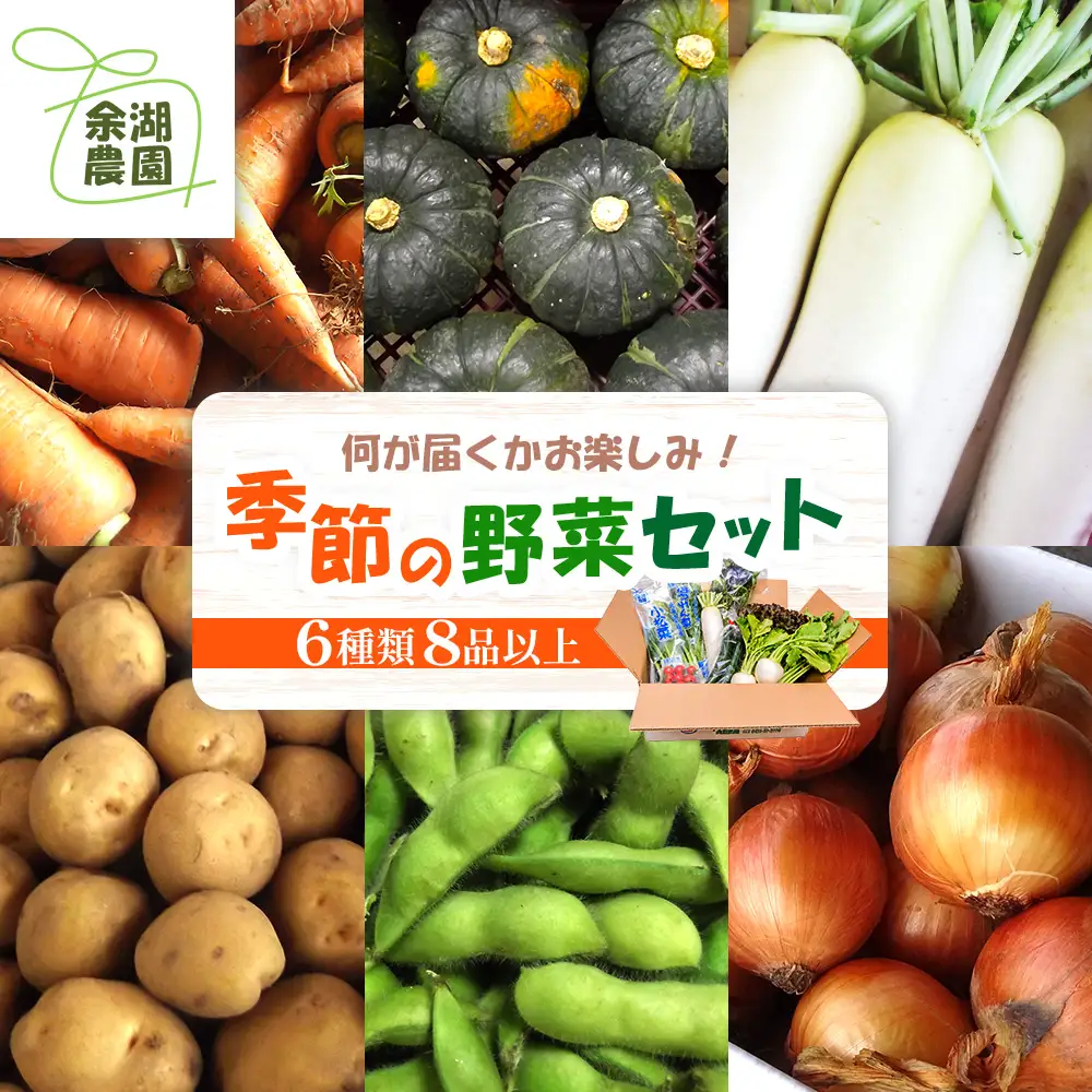 北海道産季節の野菜詰め合わせ 6種類8品【31000503】