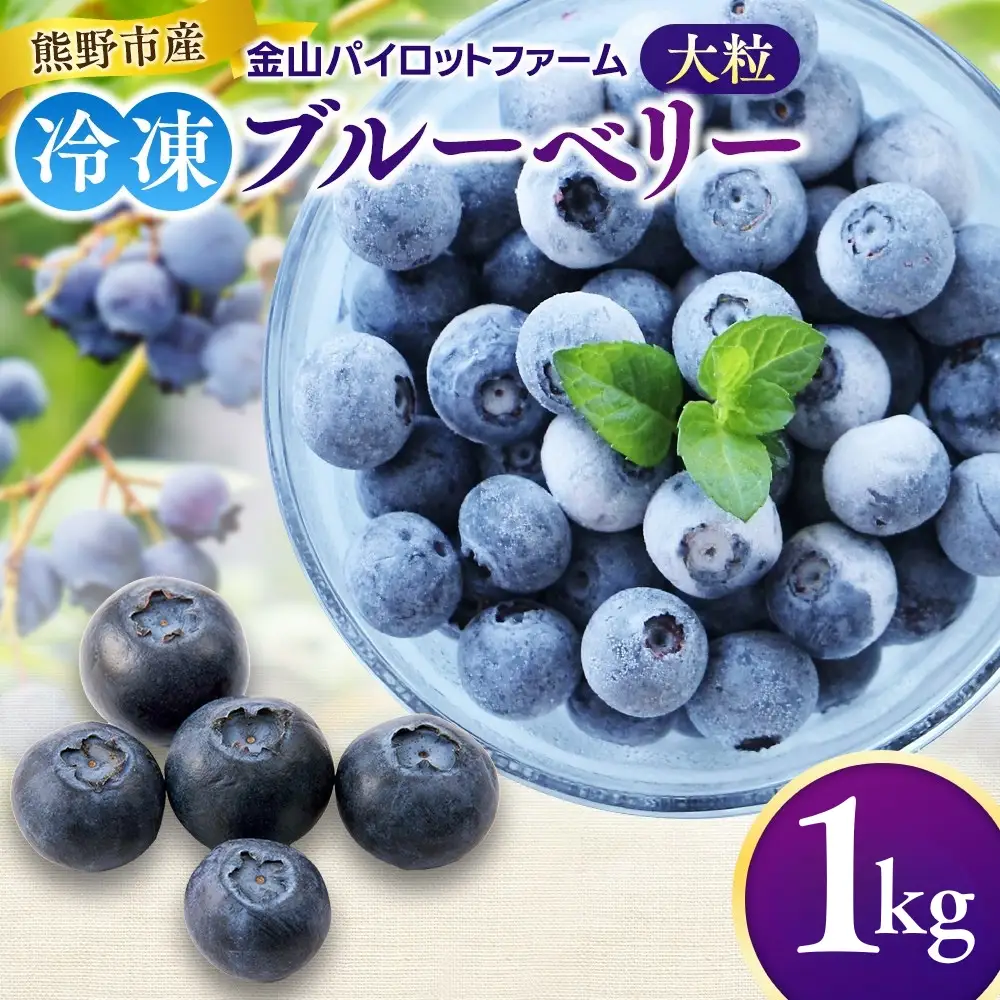 冷凍 ブルーベリー 1kg  金山パイロットファーム ベリー【knpr0009A】