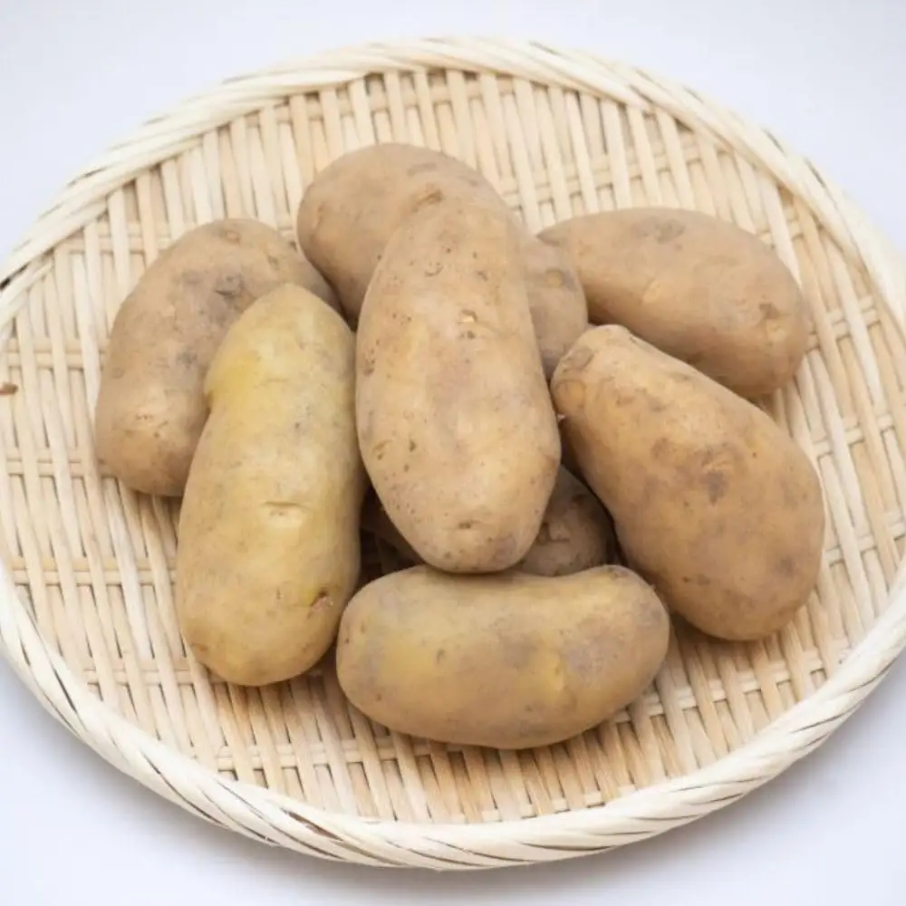 【2026年10月中旬頃発送予定】じゃがいも メークイン 10kg 先行予約 北海道 [AXAE002]