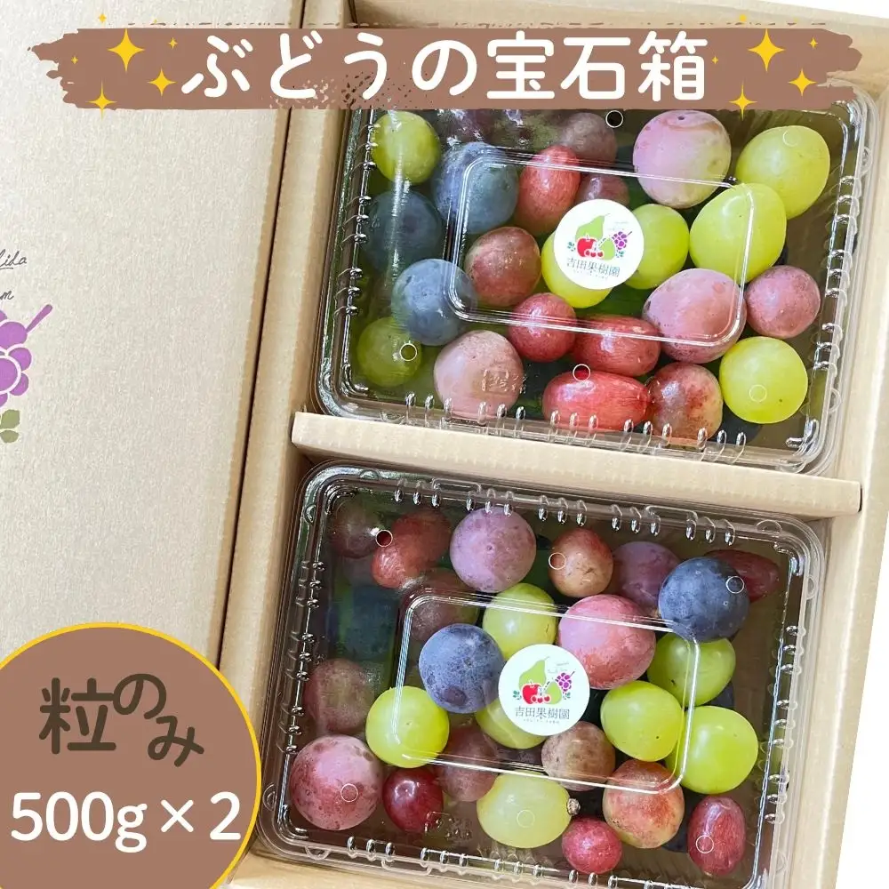 ぶどうの宝石箱（品種いろいろ、粒のみ詰合せ）　５００ｇ×２パック　0065-2603