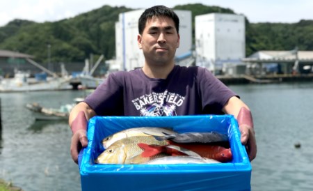 詰合せセットB 海鮮 新鮮土佐魚 海鮮