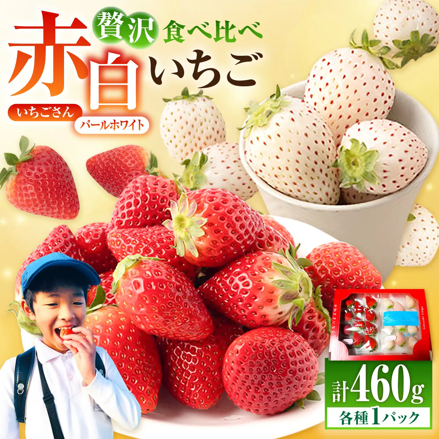 【先行予約 2027年1月～発送】赤白いちご「いちごさん」240g＆「パールホワイト」220gセット / いちご IBG002