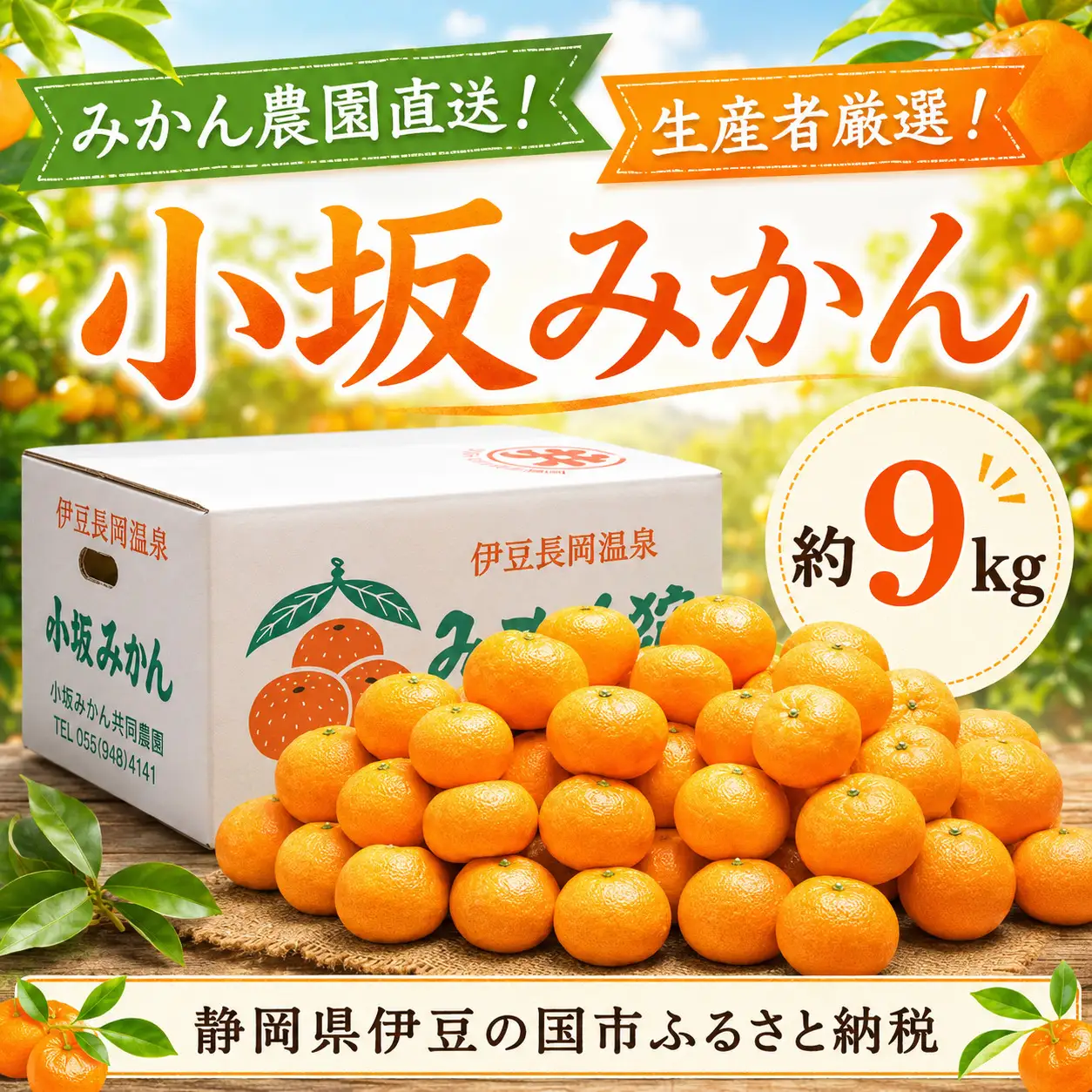 【先行予約・数量限定】みかん農園直送！生産者厳選「小坂みかん」（約9kg）