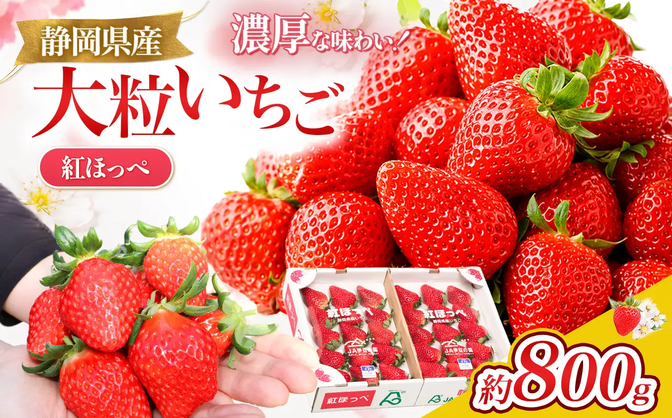 【先行予約/数量限定】新鮮大粒いちご！伊豆紅ほっぺ厳選（約400g×2パック）