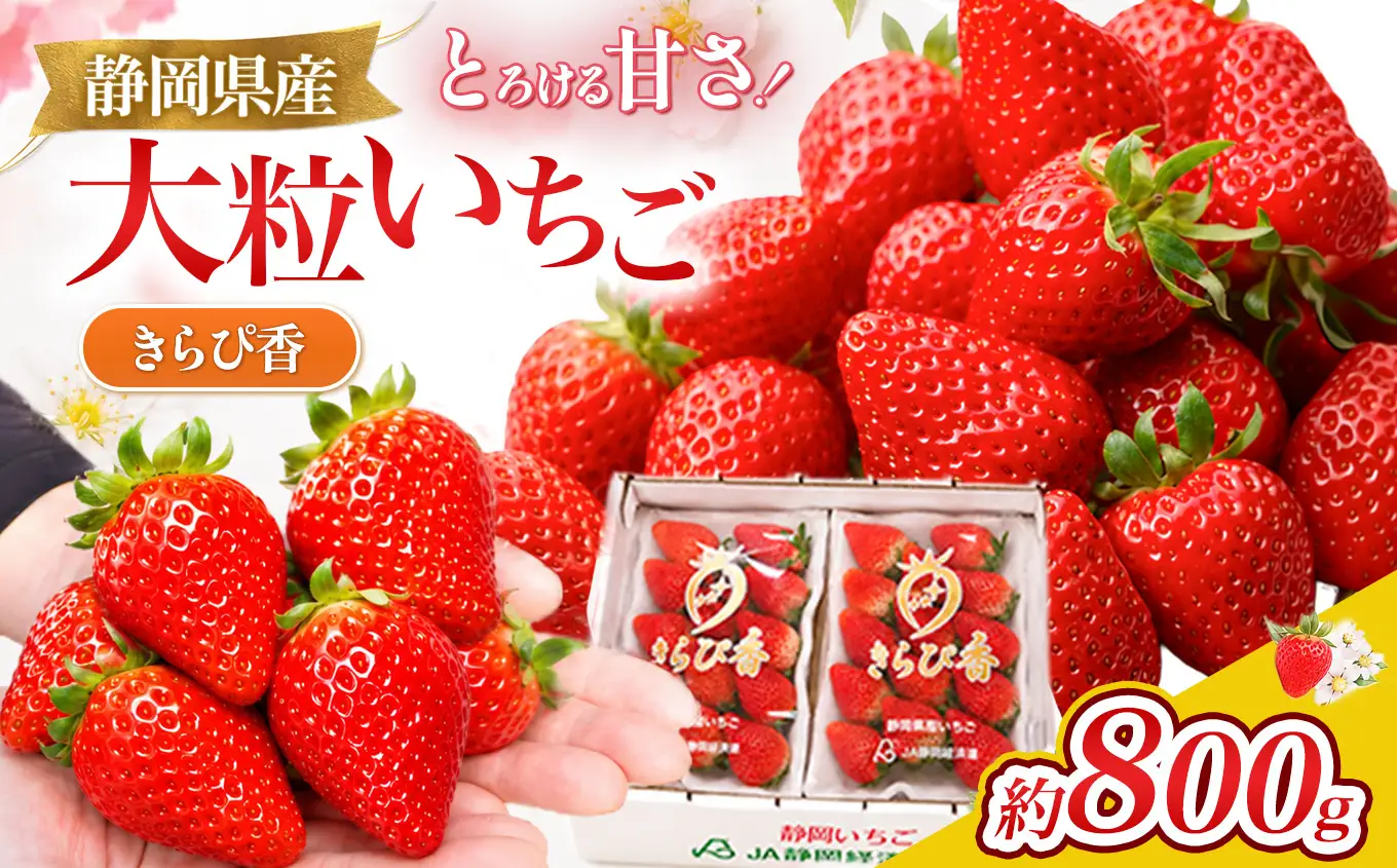 【先行予約/数量限定】希少いちご！名産地 伊豆のきらぴ香（約400g×2パック）