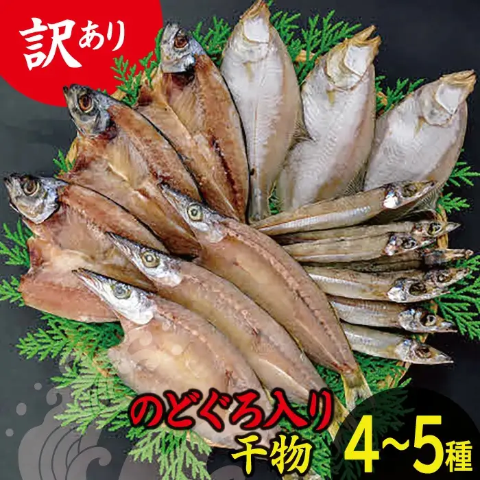 【訳あり】魚の干物おまかせ詰合せセット（のどぐろ入り） 【干物 4～5種 ランダム お楽しみ 島根県産 大田市 魚介類 のどぐろ 白いか アジ カレイ 無添加 天日塩 減塩仕立て 冷凍】