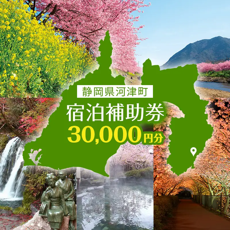 宿泊券 たっぷり河津旅 30000円分 ホテル 旅館 宿泊券