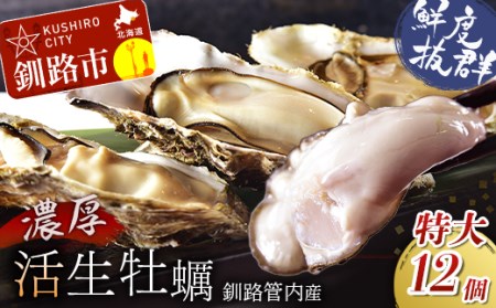 鮮度抜群！釧路管内産濃厚活生牡蠣12個入 ふるさと納税 かき 牡蠣 F4F-0015
