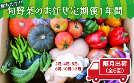 【数量限定】旬野菜のお任せ定期便１年間（隔月出荷　２月４月６月８月１０月１２月）